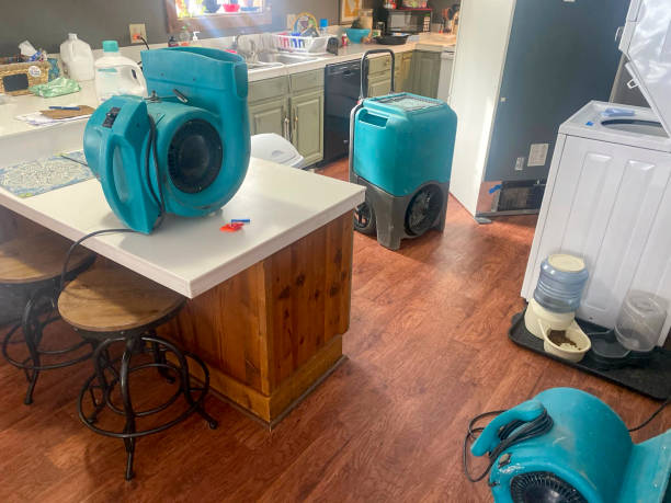 Reliable Jacksonville, TX Water damage restoration Solutions