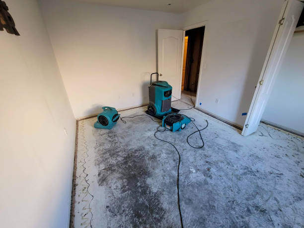 Best Water damage restoration process  in Jacksonville, TX