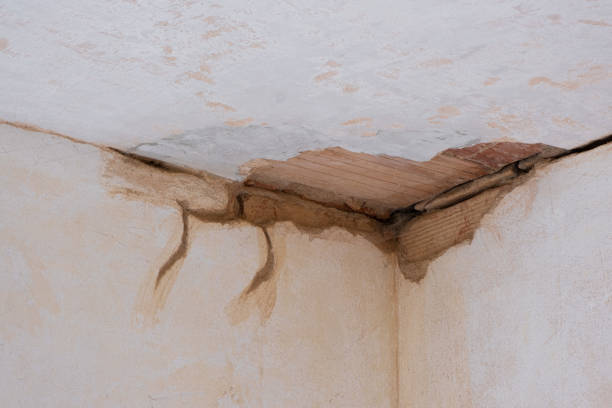 Best Water damage cleanup near me  in Jacksonville, TX