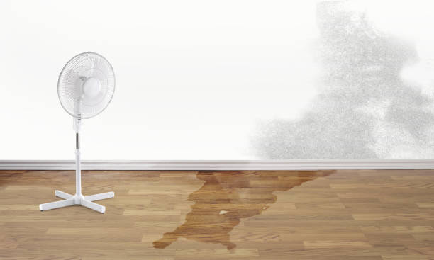  Jacksonville, TX Water damage restoration Pros