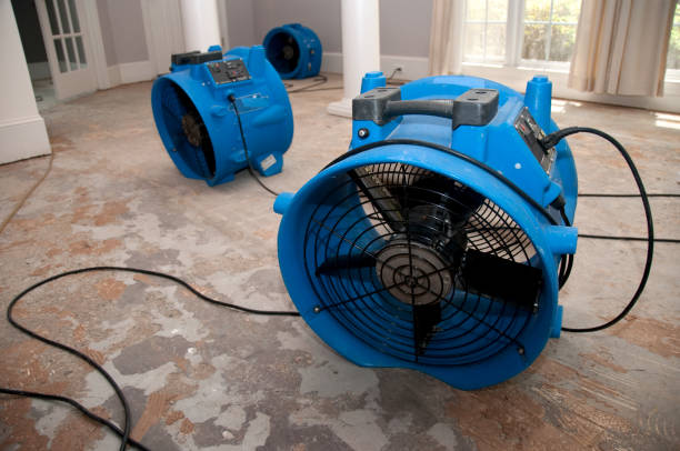 Best Local water damage restoration  in Jacksonville, TX