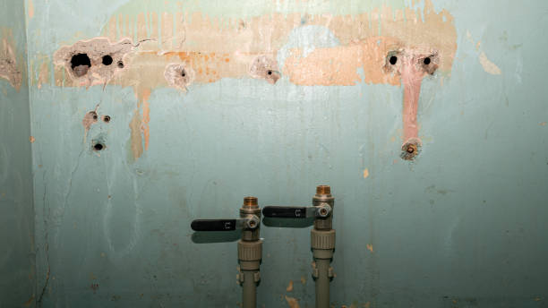 Best 24/7 water damage repair  in Jacksonville, TX