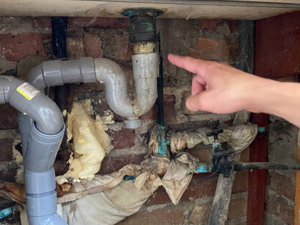 Best Basement water damage restoration  in Jacksonville, TX