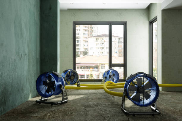 Best Water damage contractors near me  in Jacksonville, TX